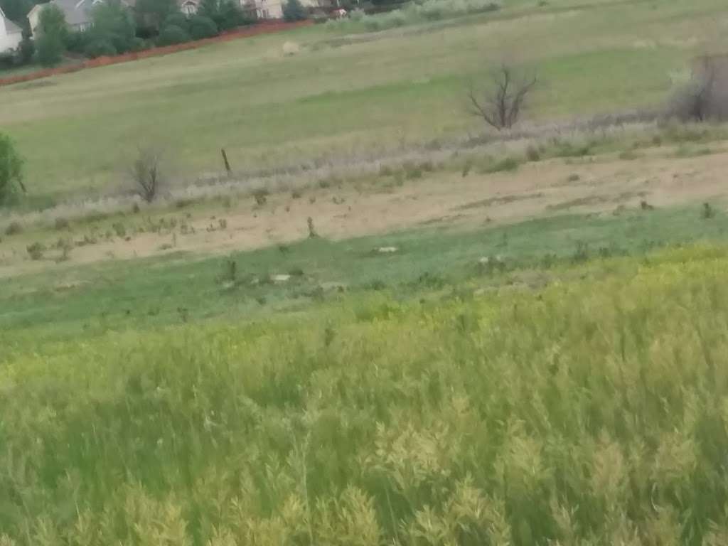 Prairie Dog Meadow Natural Area | 6208 Kyle Ave, Fort Collins, CO 80525, USA | Phone: (970) 416-2815