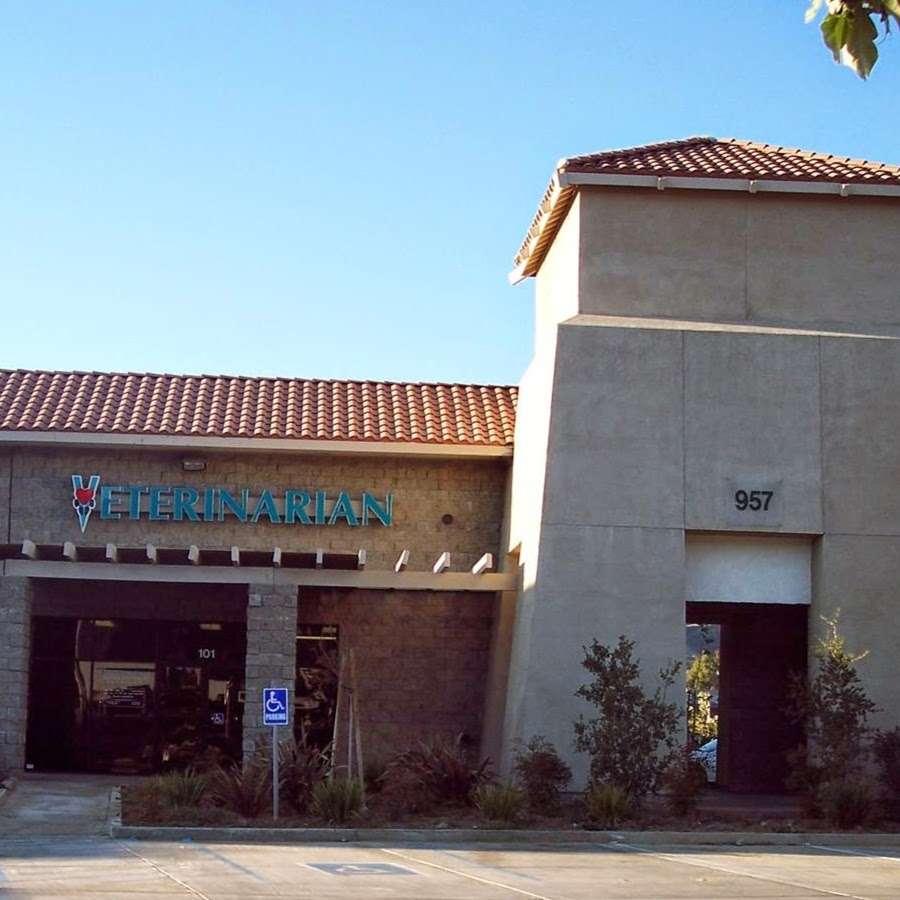 Santa Paula Animal Clinic | 957 Faulkner Rd # 101, Santa Paula, CA 93060, USA | Phone: (805) 933-1341