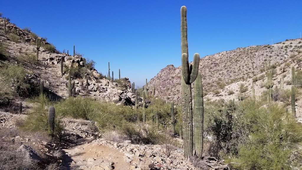 Kiwanis Trail Trailhead | Kiwanis Trail, Phoenix, AZ 85042, USA