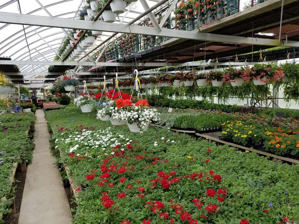 Cinder Road Greenhouse | 153 Cinder Rd, New Providence, PA 17560, USA | Phone: (717) 786-2394