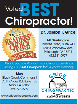 Grice Chiropractic | 1305 Grandview Ave #240, Pittsburgh, PA 15211, USA | Phone: (412) 381-9977