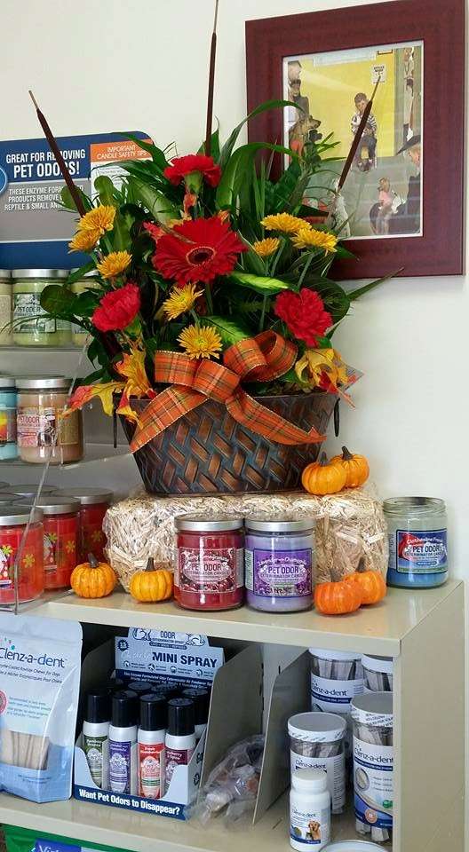 Saint Thomas Veterinary Center | 6442 Lincoln Way W, St Thomas, PA 17252, USA | Phone: (717) 595-0337