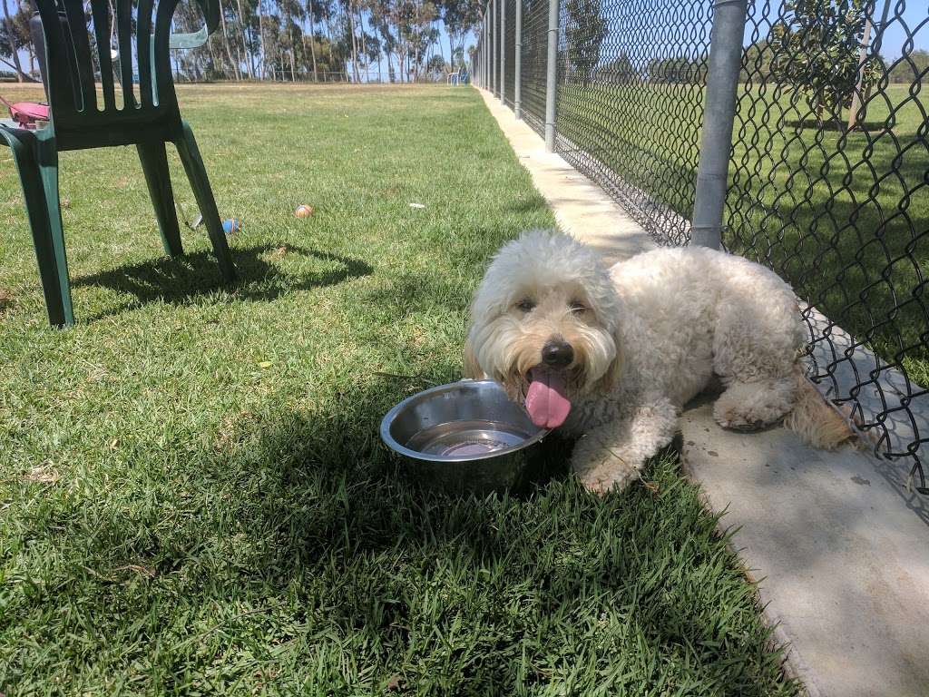 Torrey Pines Dog Park | San Diego, CA 92130