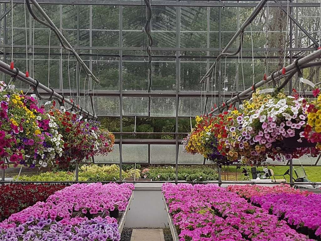 Griers Nursery & Greenhouses | 3229B Grier Nursery Rd, Forest Hill, MD 21050, USA | Phone: (410) 893-2319