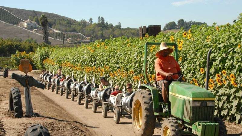 Underwood Family Farms | 3370 Sunset Valley Rd, Moorpark, CA 93021, USA | Phone: (805) 529-3690