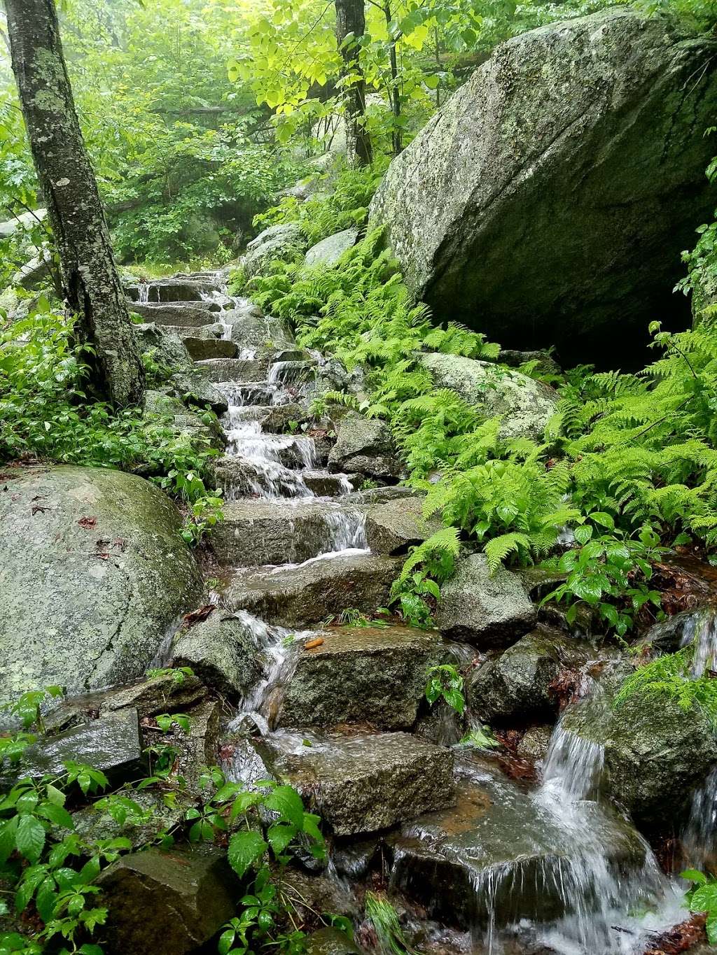 Old Rag Circuit Hike | Nethers Rd, Etlan, VA 22719, USA | Phone: (540) 999-3500