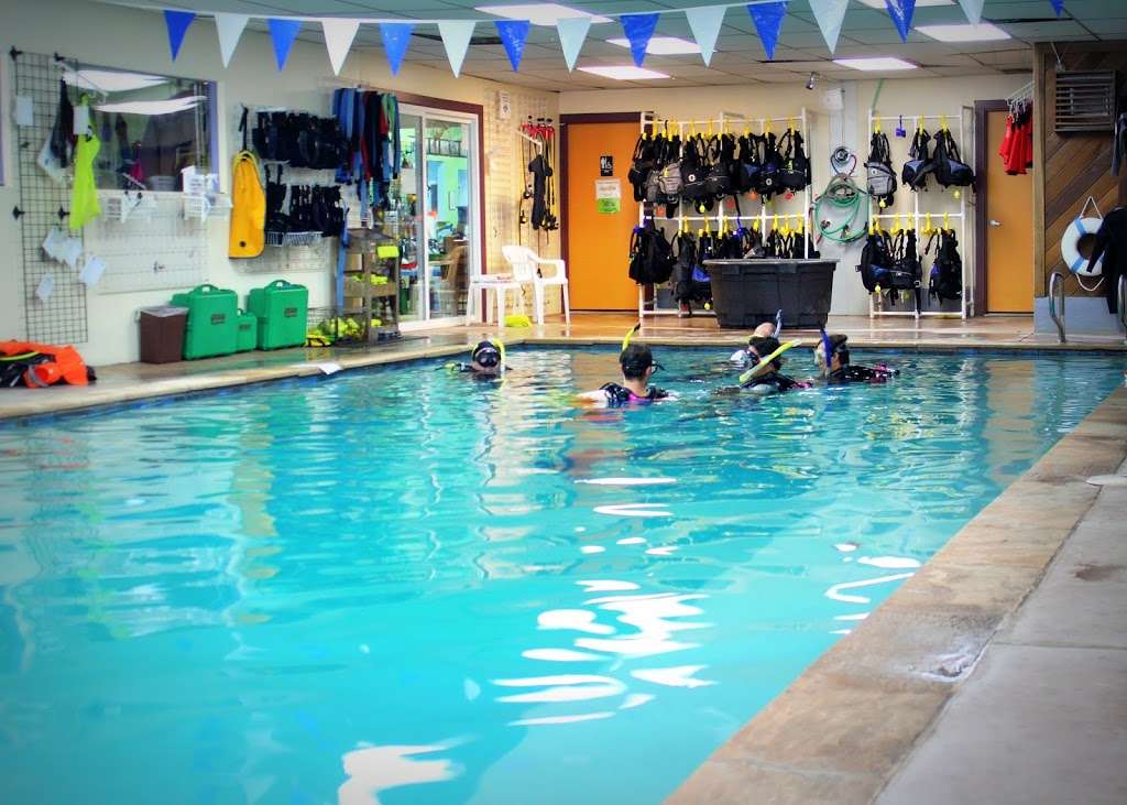 Denver Divers and The Swim School of Denver | 557 Milwaukee St, Denver, CO 80206, USA | Phone: (303) 399-2877