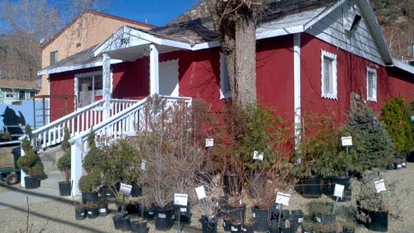 Cottage Garden Nursery & Florist | 3701 Mt Pinos Way, Frazier Park, CA 93225, USA | Phone: (661) 245-5459