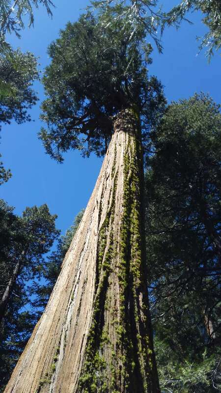 Buckhorn Campground Entrance | Pearblossom, CA 93553 | Phone: (626) 574-1613