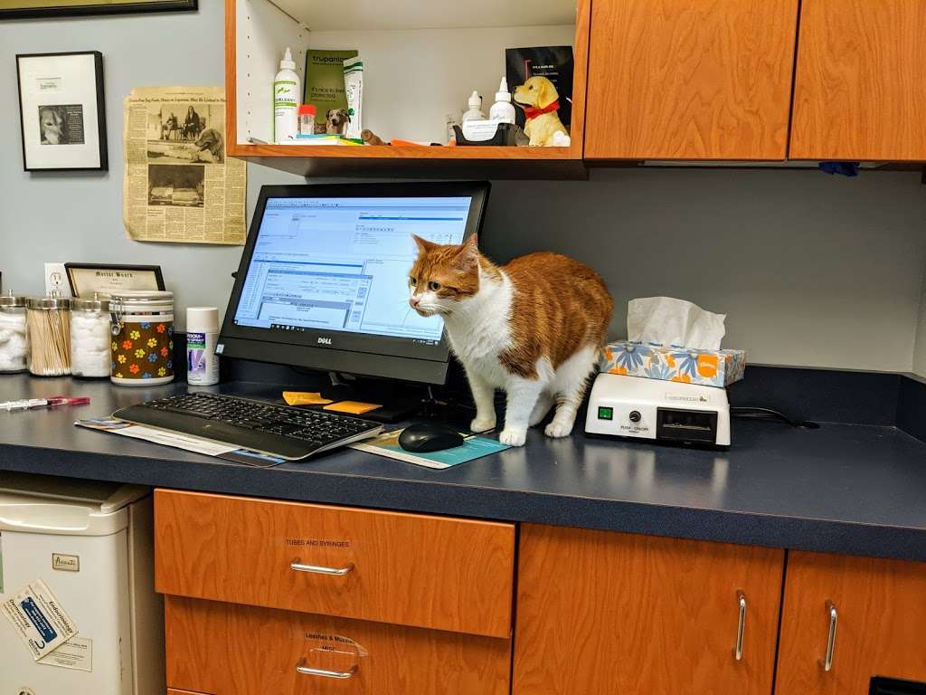 Ardsley Veterinary Associates | 722 Saw Mill River Rd, Ardsley, NY 10502, USA | Phone: (914) 357-8050