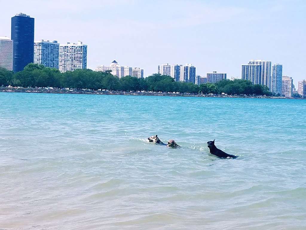 Montrose Dog Beach - Dog Friendly Area | W Lawrence Ave, Chicago, IL 60640 | Phone: (773) 295-6354