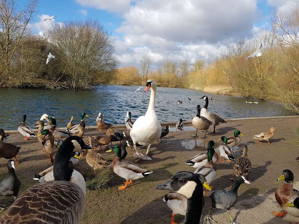 Hornchurch Country Park | Hornchurch RM12 6UB, UK | Phone: 01708 554451