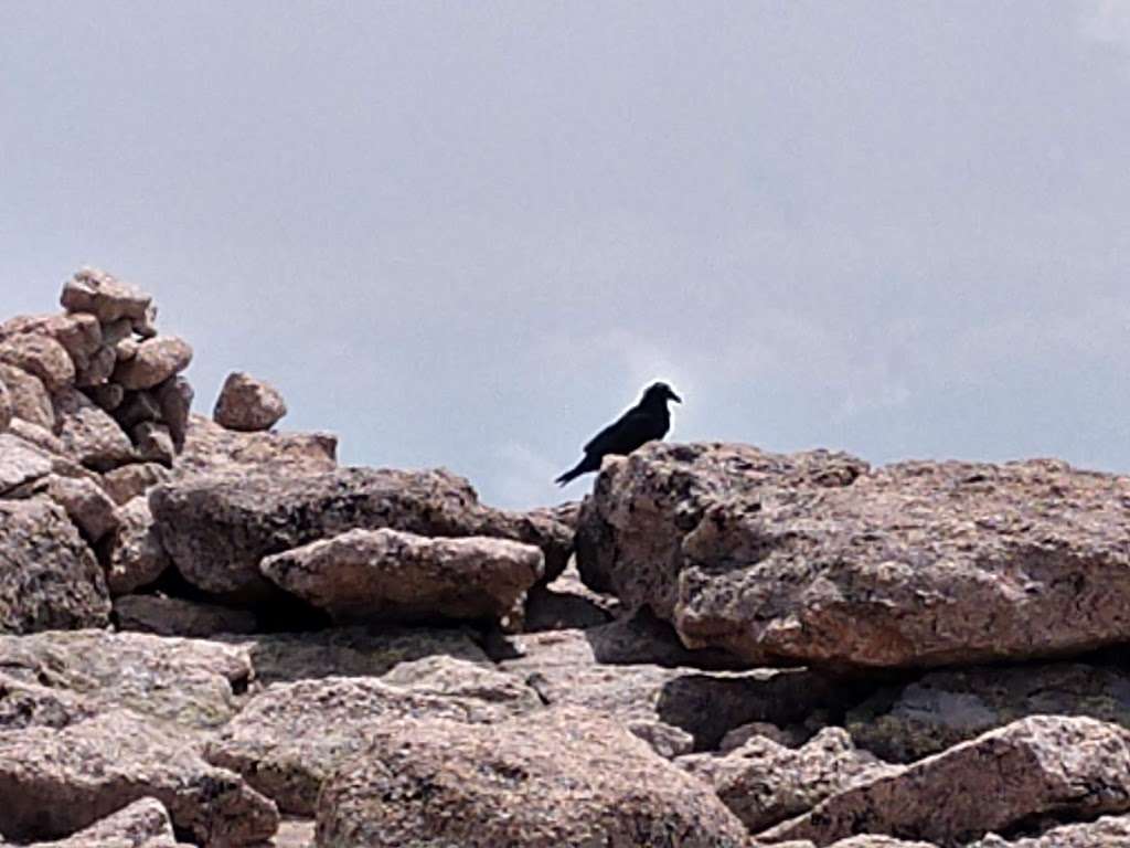 Longs Peak | Allenspark, CO 80510