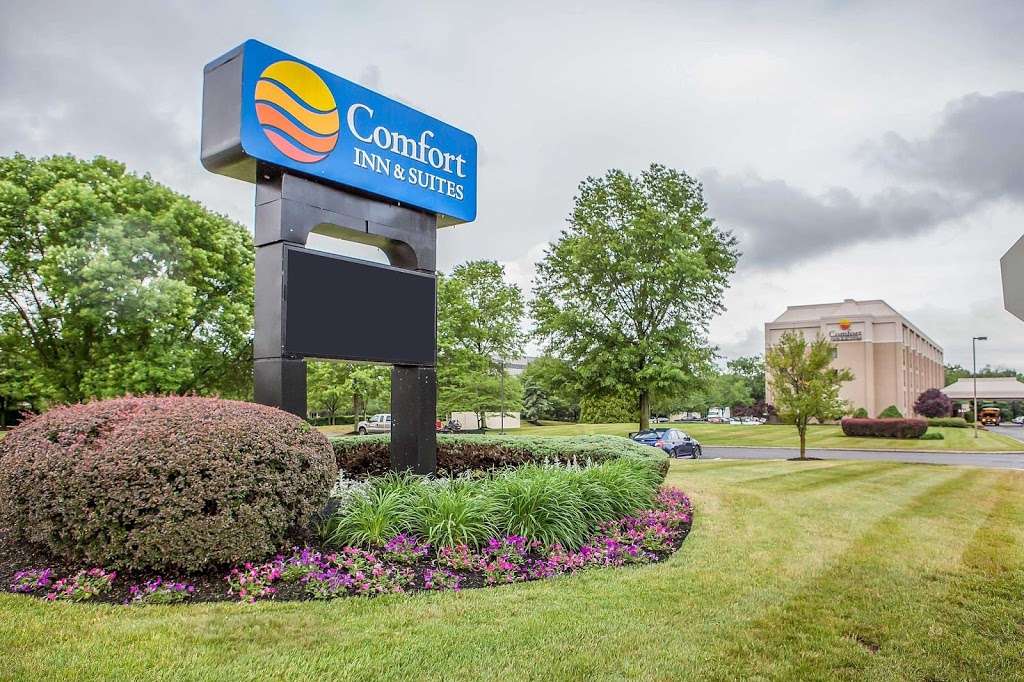 Comfort Inn & Suites | 255 Davidson Ave, Somerset, NJ 08873 | Phone: (732) 563-1600