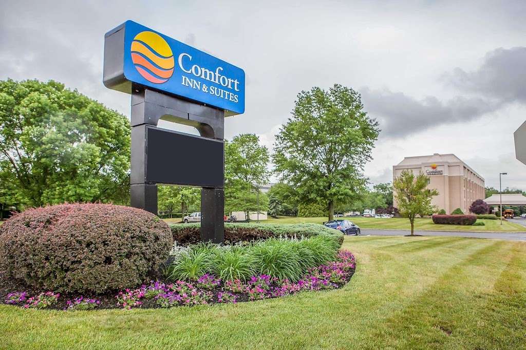 Comfort Inn & Suites | 255 Davidson Ave, Somerset, NJ 08873, USA | Phone: (732) 563-1600