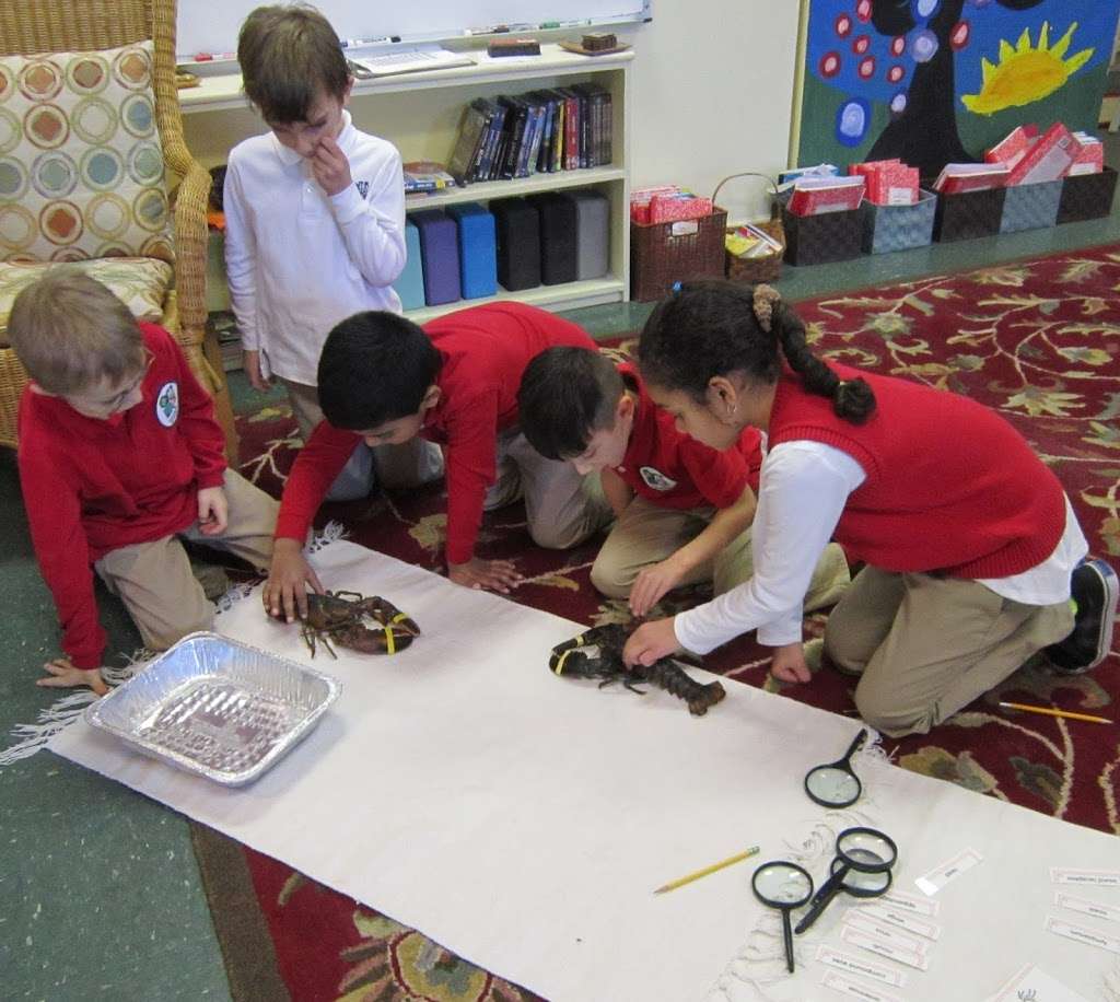 The Cherry Blossom Montessori School | 20 Equator Ave, Flagtown, NJ 08821, USA | Phone: (908) 369-4436