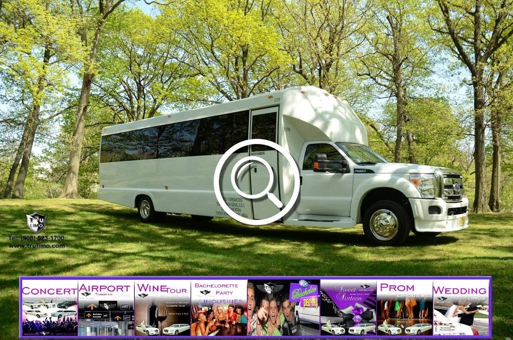 My New Jersey Party Bus | 41 W Edgar Rd, Linden, NJ 07036, USA | Phone: (888) 308-0600