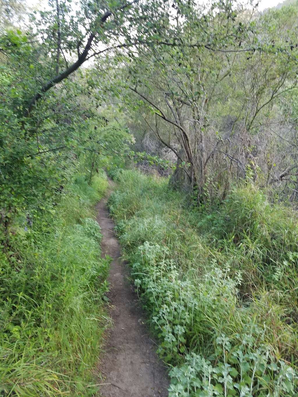 Rivas Canyon Park | Pacific Palisades, CA 90272