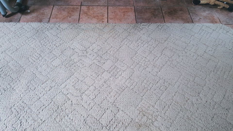 Spiker Carpet and Tile Care | 11490 Arno Rd, Galt, CA 95632 | Phone: (916) 919-7642