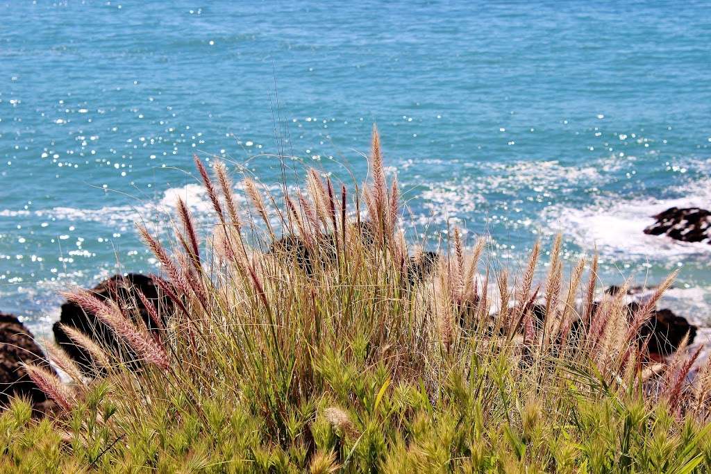 County Line Beach | 42100-, 42398 Pacific Coast Hwy, Malibu, CA 90265, USA