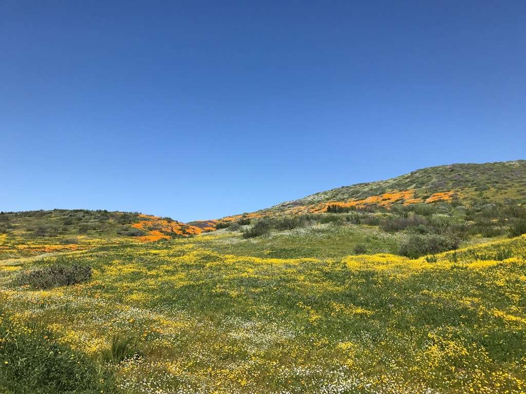 Diamond Valley Lake Lookout | Hemet, CA 92545, USA