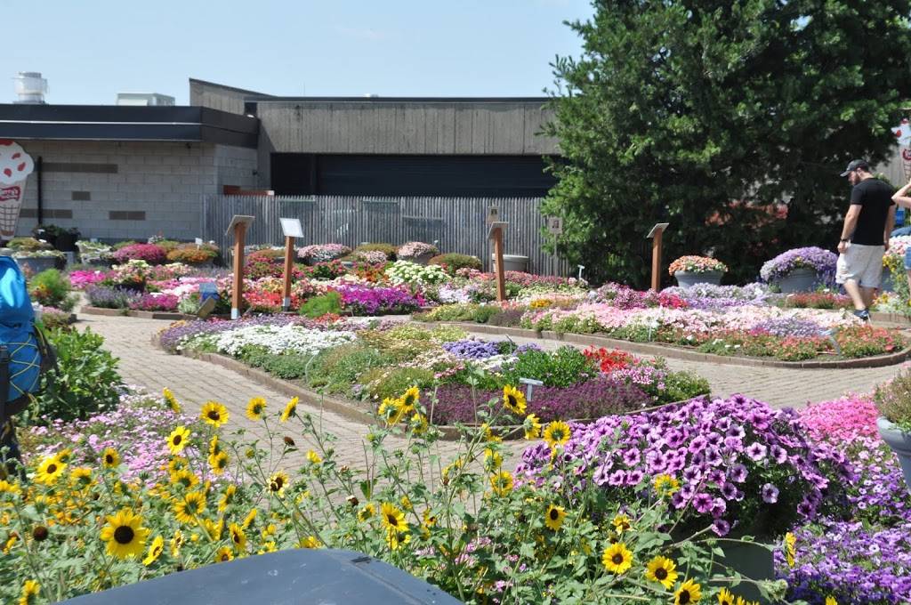 Joan and Victor Fuzak Memorial Garden | 329 Erie St, Buffalo, NY 14202, USA | Phone: (716) 695-3472