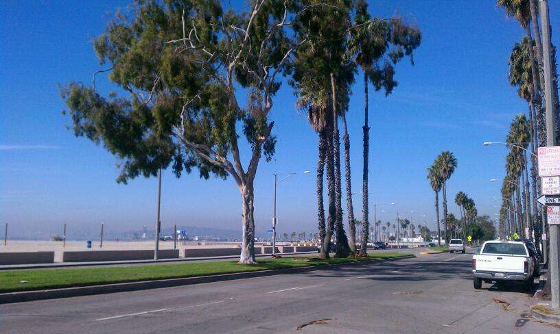 SoCal Kitesurfing & Kiteboarding | 80 Claremont Pl, Long Beach, CA 90803, USA | Phone: (800) 939-4640