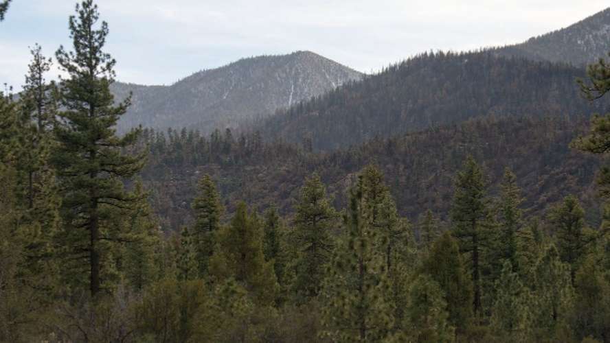 San Bernardino Peak Trail 1W07 | San Bernardino Peak Divide Trail, Angelus Oaks, CA 92305, USA | Phone: (909) 382-2882