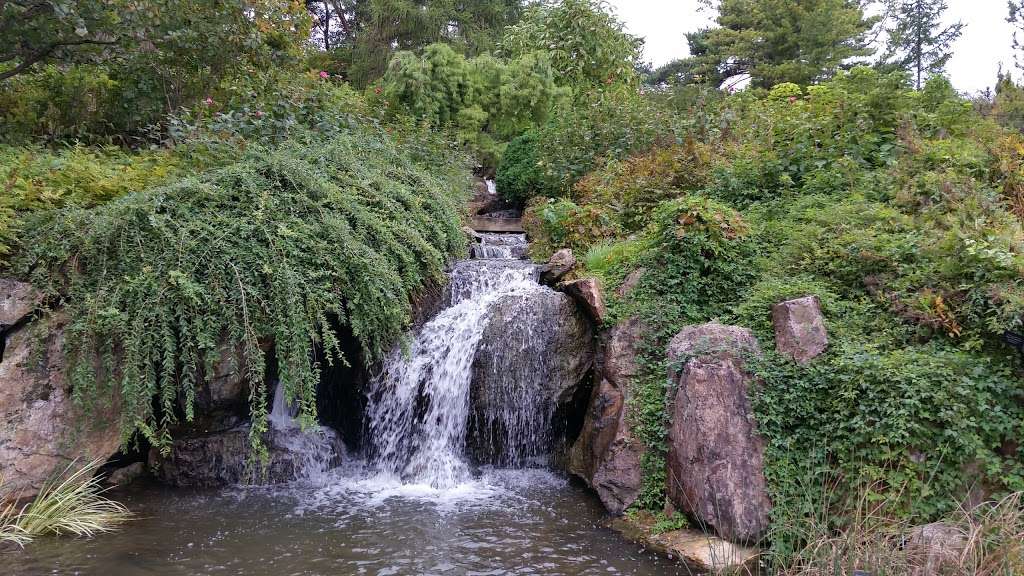 Waterfall Garden | Glencoe, IL 60022