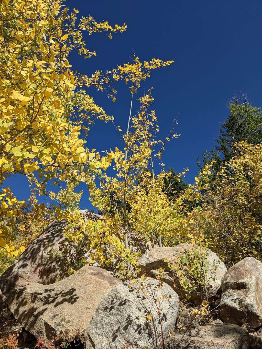 West Alluvial Fan Trailhead | Estes Park, CO 80517, USA