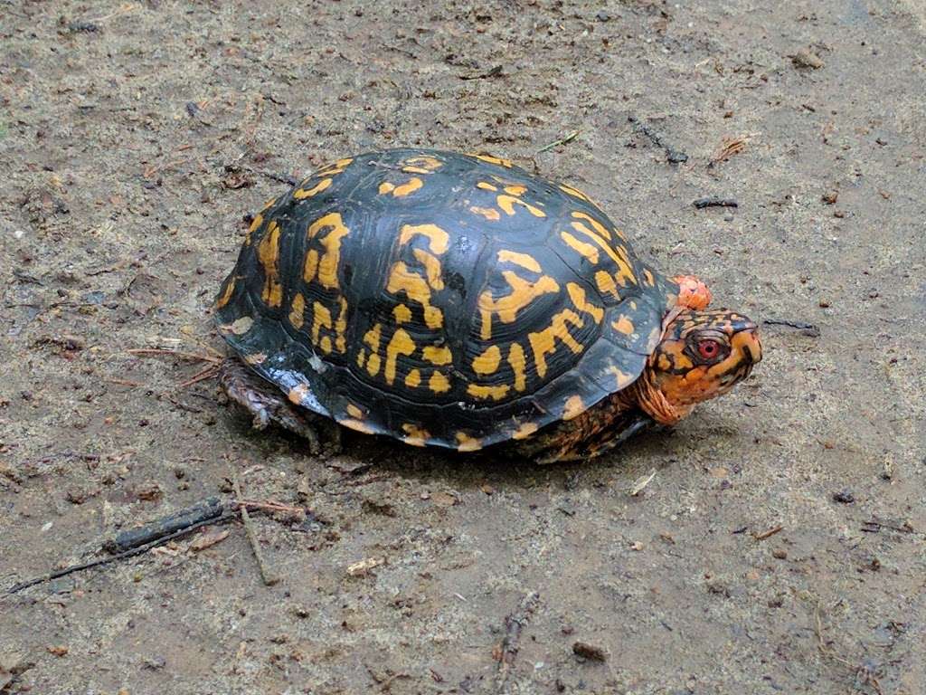 Bacon Ridge Park, Bike Trail, AA County | 1801 Hawkins Rd, Annapolis, MD 21401