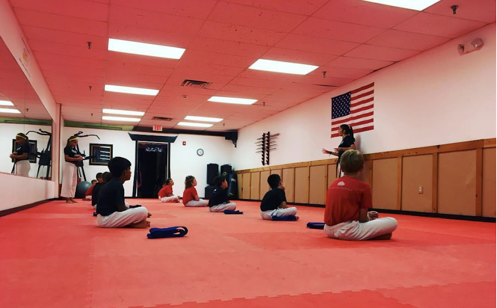 Seishin Martial Arts / Sport Karate Academy | 74 Main St, Medway, MA 02053, USA | Phone: (508) 533-1501