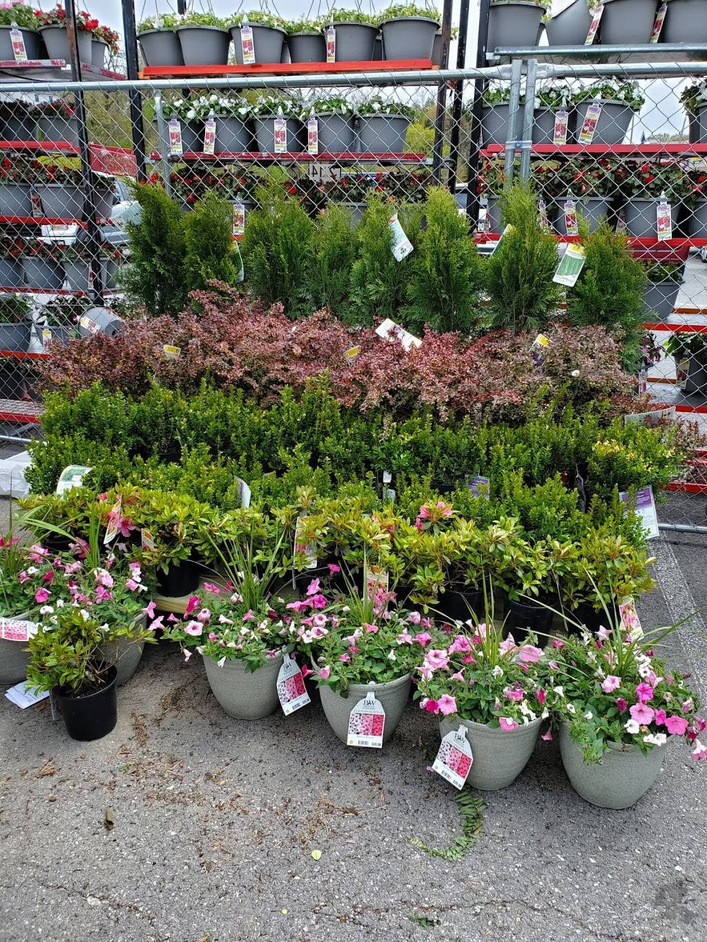 Lowes Garden Center | 5775 Baptist Rd, Bethel Park, PA 15102, USA | Phone: (412) 212-2000