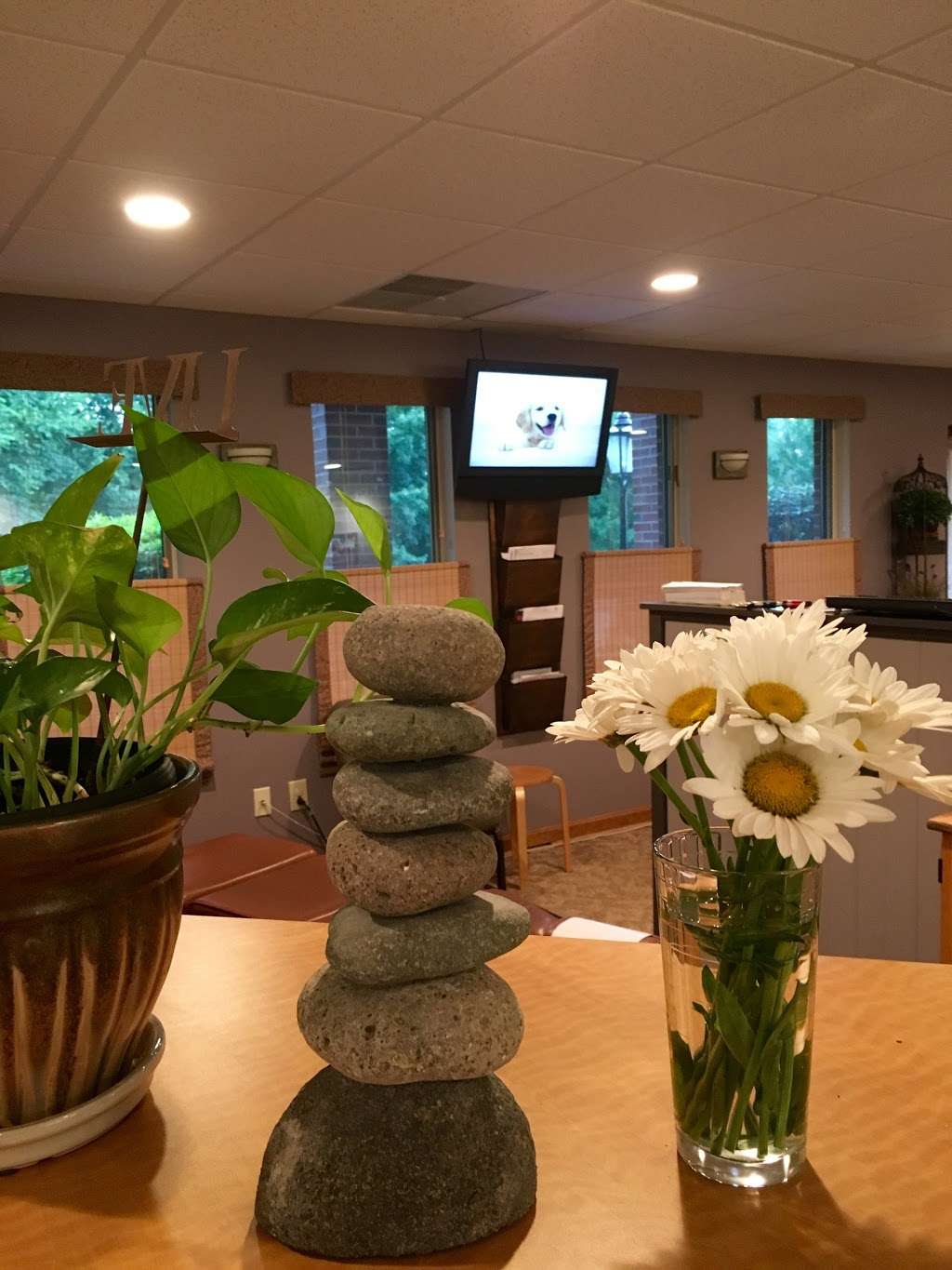 SCC Chiropractic & Vitality Studio | 1 Overlook Dr, Amherst, NH 03031 | Phone: (603) 673-5600