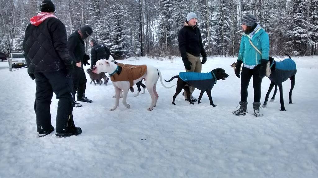 University Lake Dog Park | 4050 University Lake Dr, Anchorage, AK 99508 | Phone: (907) 343-4355