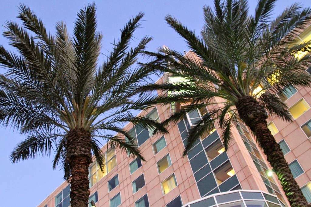 Moody Gardens Hotel, Spa and Convention Center | 7 Hope Blvd, Galveston, TX 77554, USA | Phone: (409) 741-8484