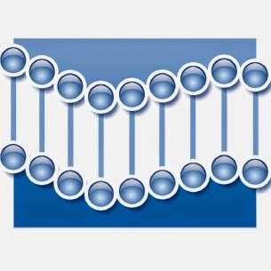 La Jolla Bioengineering Institute | 505 Coast Blvd S #411, La Jolla, CA 92037, USA | Phone: (858) 456-7505