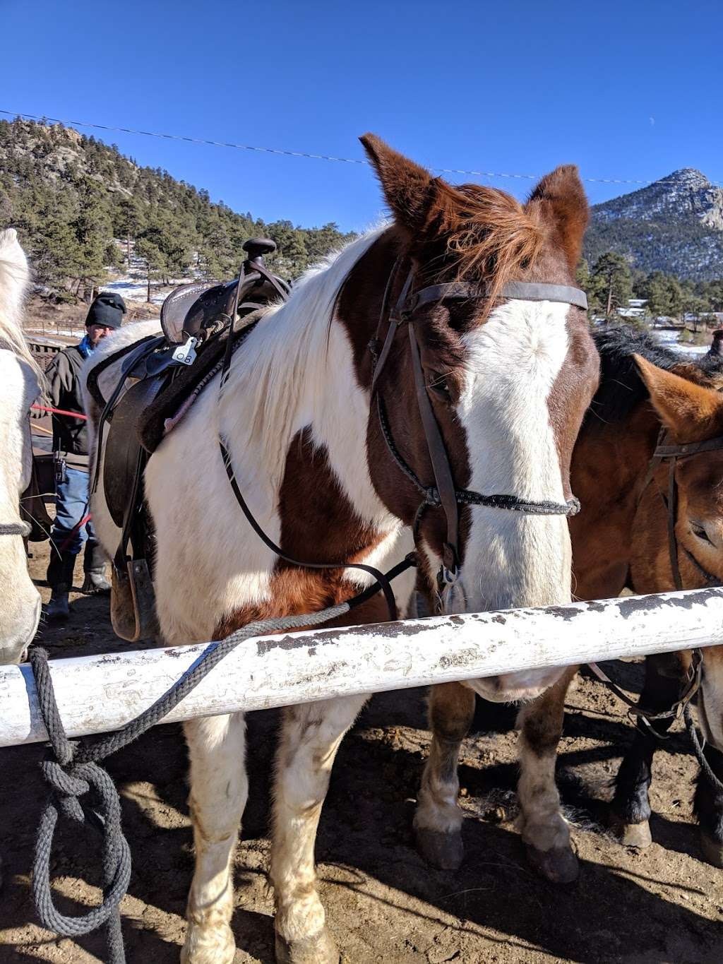 Sombrero stables | 1895 Big Thompson Ave, Estes Park, CO 80517