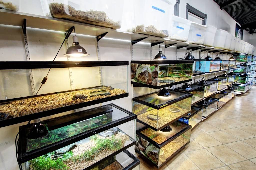 Herp Hobby Shop Reptile Breeding Center | 700 St Petersburg Dr W, Oldsmar, FL 34677 | Phone: (813) 925-0041