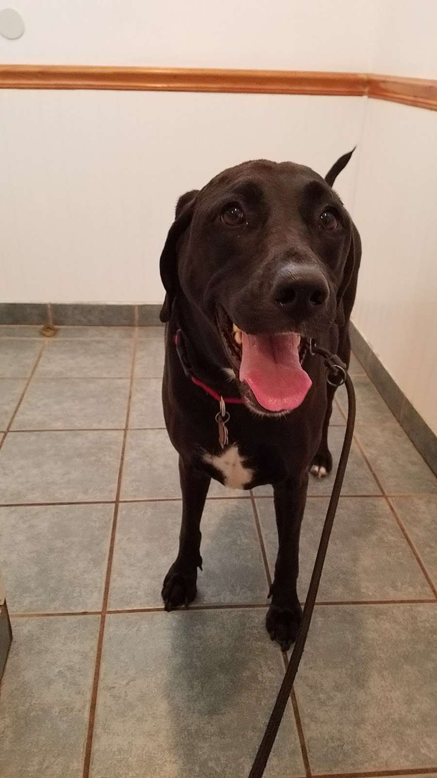 Matawan Animal Hospital, 3991 County Rd 516, Matawan, NJ 07747, USA