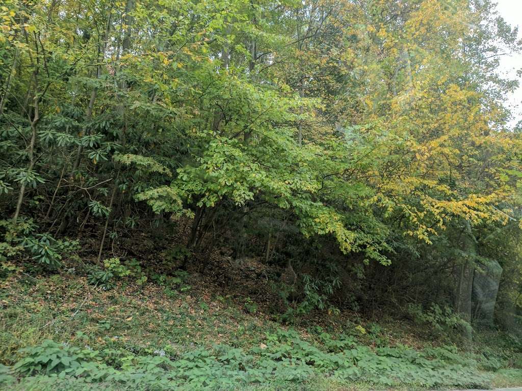 Hope Forest Reserve | 1811 Union Valley Rd, West Milford, NJ 07480, USA | Phone: (973) 532-9830