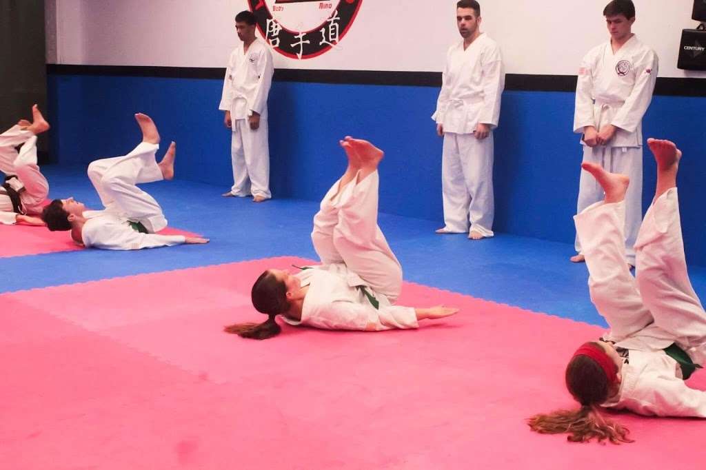 Lititz Martial Arts | 400 N Cedar St, Lititz, PA 17543, USA | Phone: (717) 626-1111