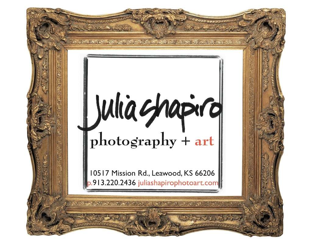 Julia Shapiro Photography + Art | 10517 Mission Rd, Leawood, KS 66206, USA | Phone: (913) 220-2436