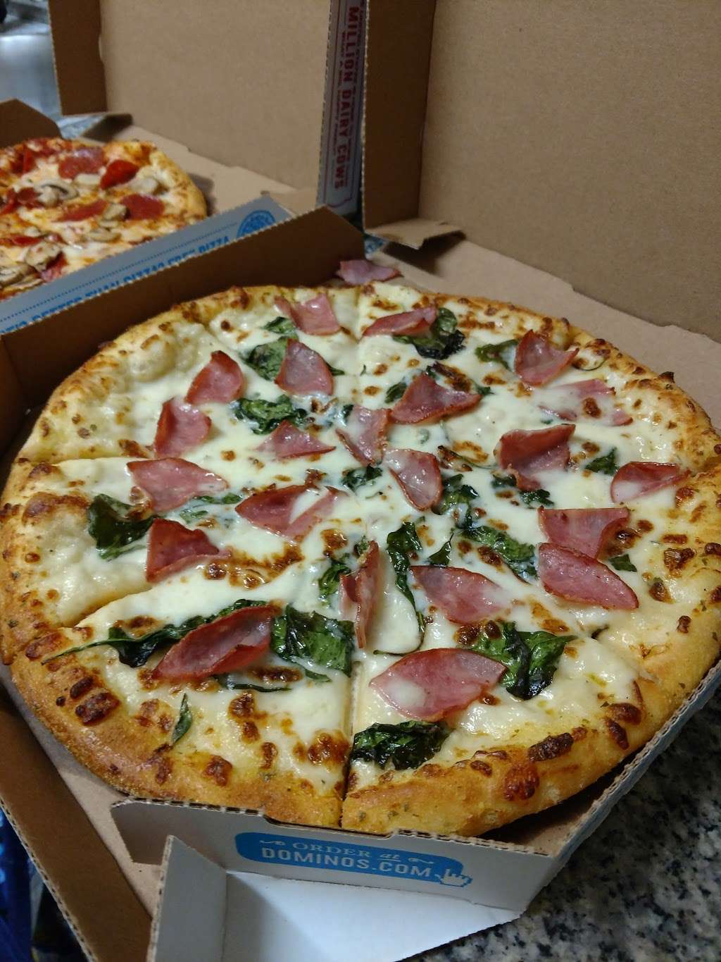 Dominos Pizza | 10766 S Gessner Rd, Houston, TX 77071, USA | Phone: (713) 270-7752