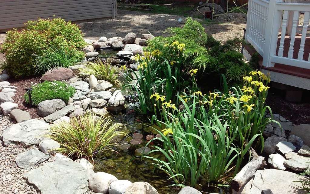 Landvista Aquascapes LLC | 212 White Horse Pike, Atco, NJ 08004, USA | Phone: (856) 768-9404