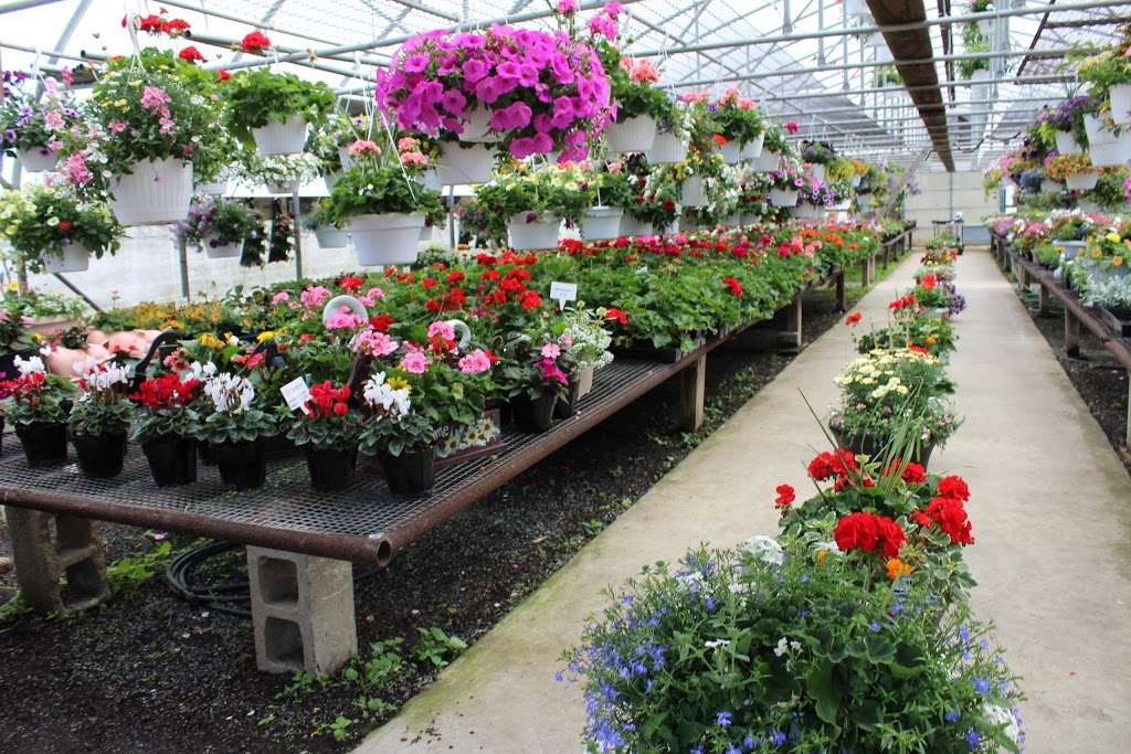 Hidden Acres Greenhouse | 956 Fallowfield Rd, Atglen, PA 19310, USA | Phone: (610) 593-7365