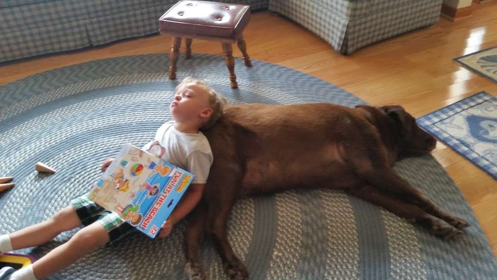 Van Dyk Group in 12800 Long Beach Blvd, Long Beach Township, NJ 08008, USA