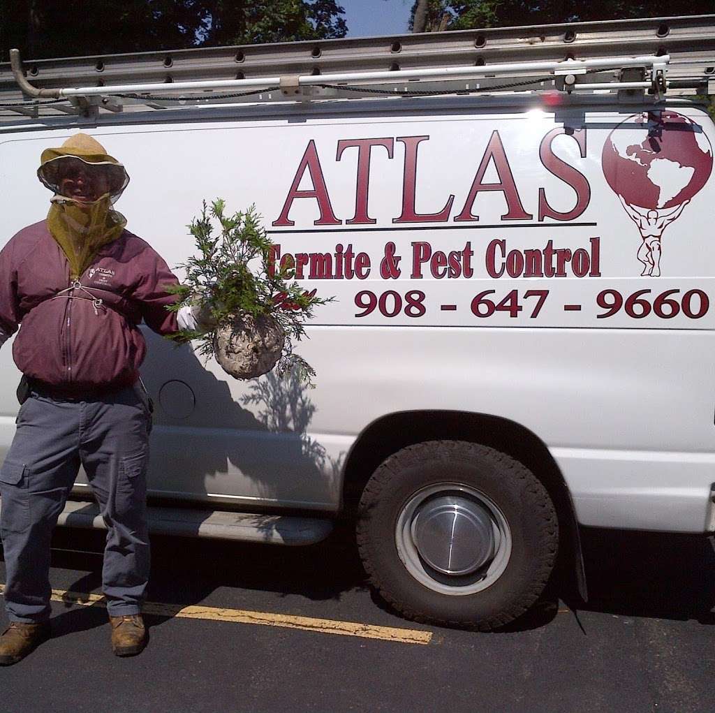 Atlas Pest Control LLC | 40 Milton Ave, Gillette, NJ 07933, USA | Phone: (908) 647-9660