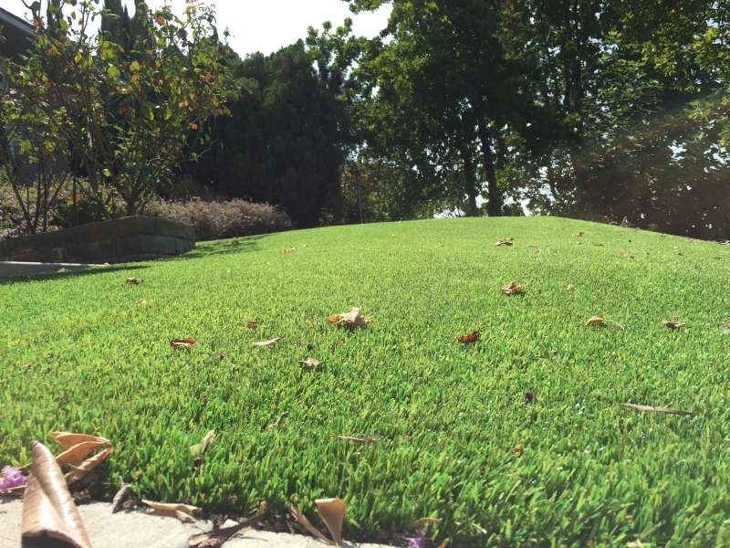 Purchase Green Artificial Grass | 13908 Distribution Way, Farmers Branch, TX 75234, USA | Phone: (214) 453-6820