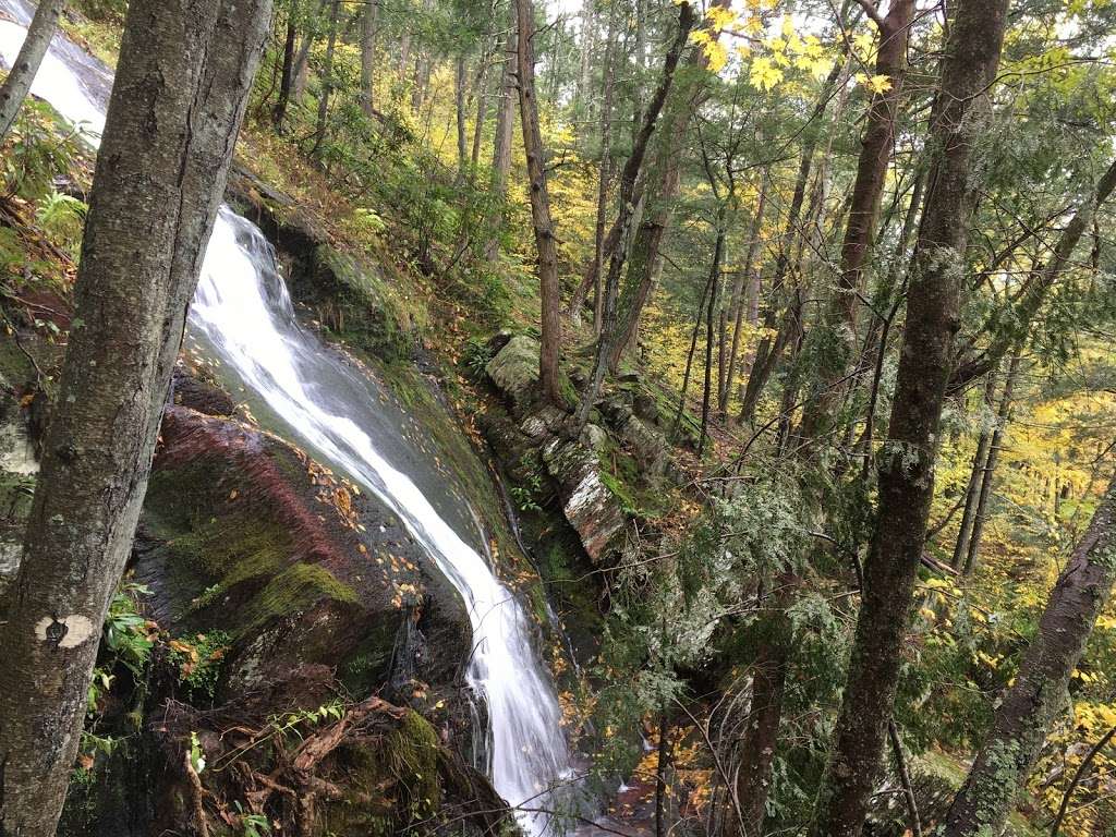 Buttermilk Falls Trail Parking, Mountain Road, Layton, NJ | Layton, NJ 07851